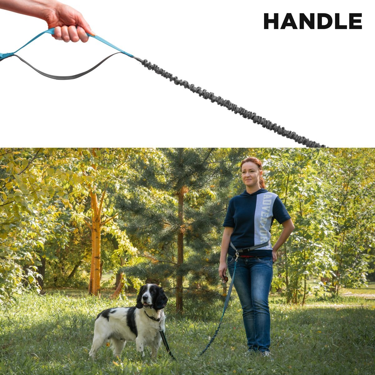 Hands Free Blue Dog Leash 4.25 ft