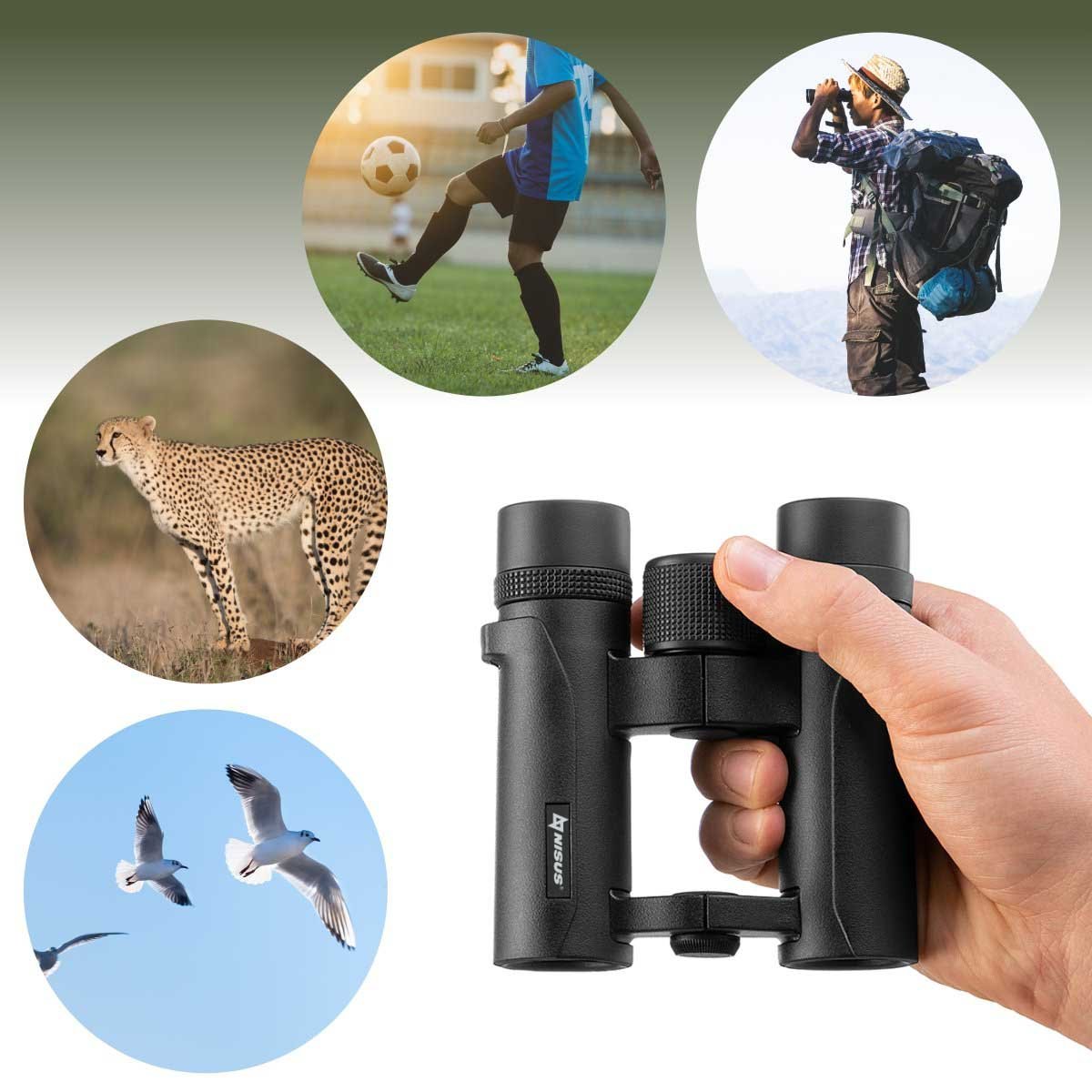 8x26 Compact Folding Binoculars with a Travel Case could be used to explore the distant world around you